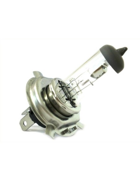 Lampada Alogena HS1 12V 35/35W PX43T Motorini Scooter Marca Poli