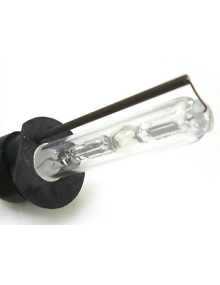 Lampada Hid Xenon H1 6000K 50W