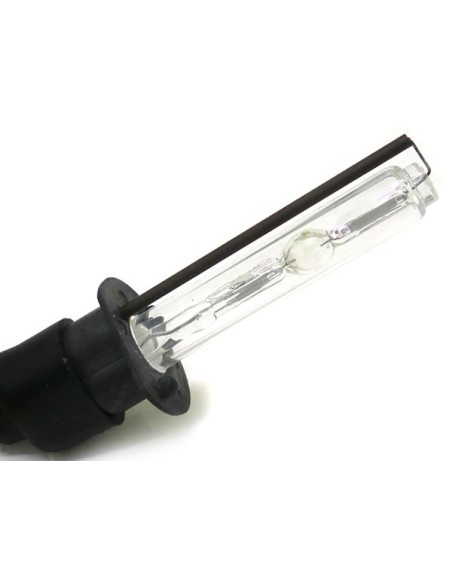 Lampada Hid Xenon H1 6000K 50W