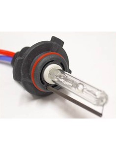 Lampada Hid Xenon H10 6000K 35W