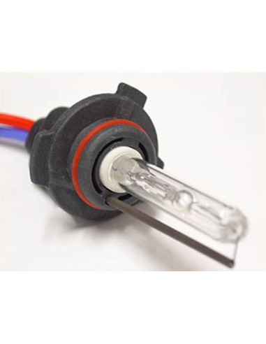 Lampada Hid Xenon H10 6000K 35W