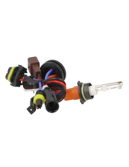 Lampada Hid Xenon P13W 6000K