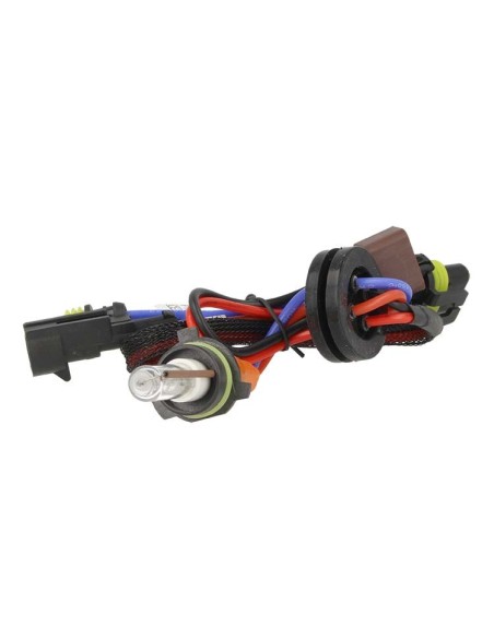 Lampada Hid Xenon P13W 6000K