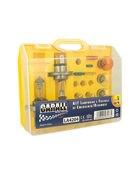 Kit Lampade Ricambio Emergenza Alogena Auto Bulbset 2X H4 12V 4 Fusibile (17 pz)