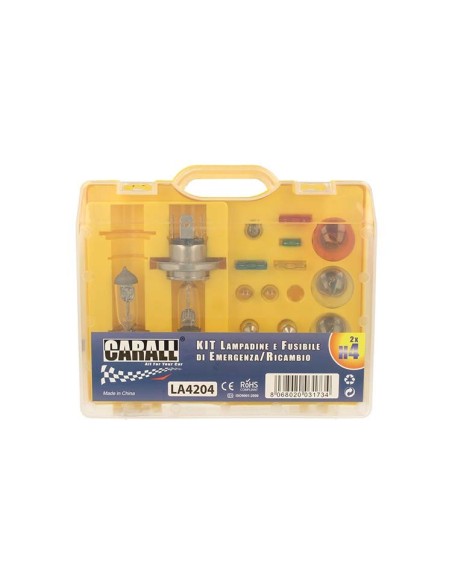 Kit Lampade Ricambio Emergenza Alogena Auto Bulbset 2X H4 12V 4 Fusibile (17 pz)