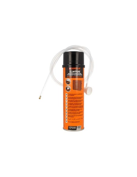WARM UP Clim Pure Pulitore Detergente Professionale Per Circuito Di Climatizzazione 250ml Schiuma Attiva Penetrante