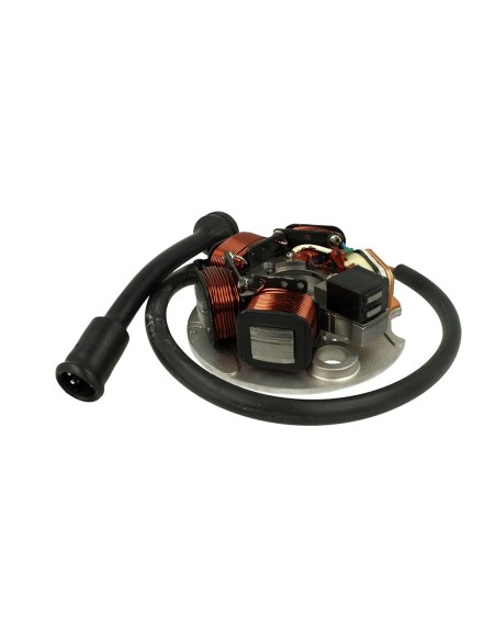 Statore Per Moto Piaggio Ape TM P Vespa FL N PK XL FL PK XL OEM 497654 199495