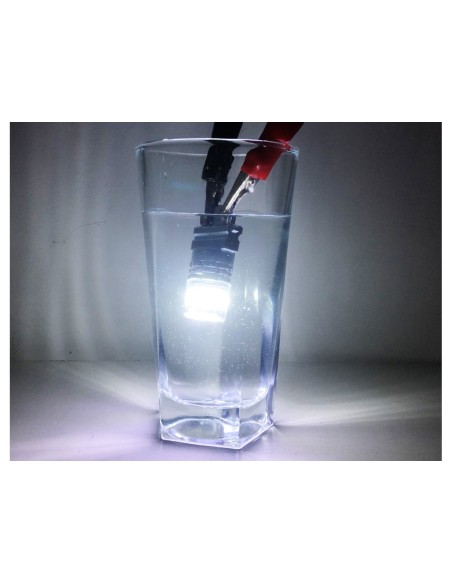 Lampada Led T25 3157 3156 Canbus Bianco 12V No Polarita IP67 Illuminazione 360 Gradi