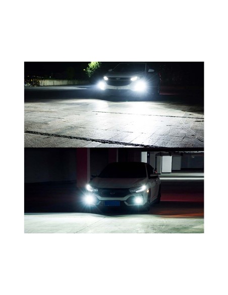 Lampada Led 2504 PSX24W PG20/7 12276 C1 12V 20W Fendinebbia IP65 Bianco 6000K 2000LM 360 Gradi Canbus Slim