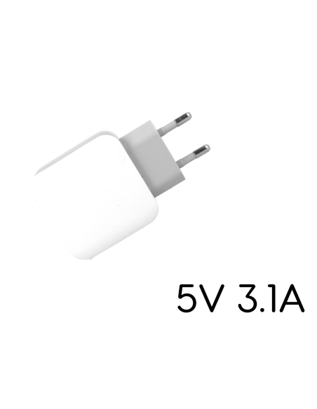 Caricatore 2 Porte USB 5V 2,1A Ricaricabatteria USB Ricarica Veloce