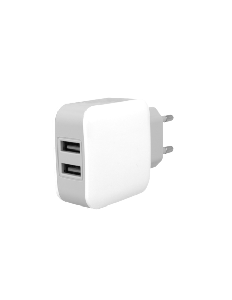 Caricatore 2 Porte USB 5V 2,1A Ricaricabatteria USB Ricarica Veloce