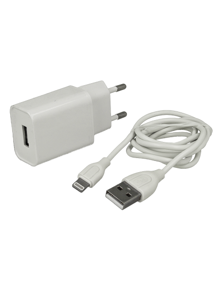 Caricabatterie Con Cavo Lightning 5V 2A Ricarica Veloce per Iphone Ipad