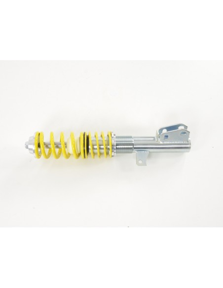 Assetto a ghiera FK per Renault Twingo C06 1993-2007