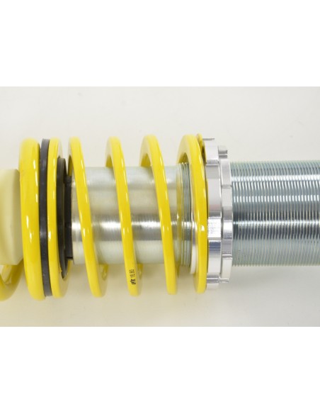 Assetto a ghiera FK per Renault Twingo C06 1993-2007