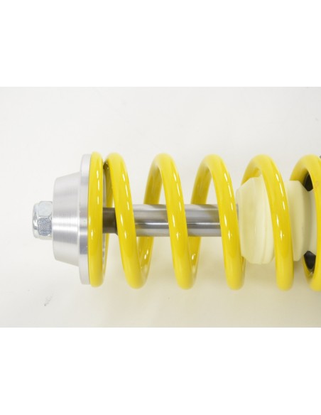 Assetto a ghiera FK per Renault Twingo C06 1993-2007