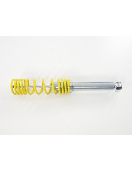 Assetto a ghiera FK per Renault Twingo C06 1993-2007