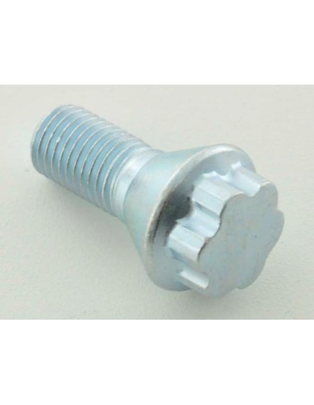 Set bulloni ruota (10 pezzi) Lunghezza albero 21 mm, collare conico, testa corta, argento M12x1,5