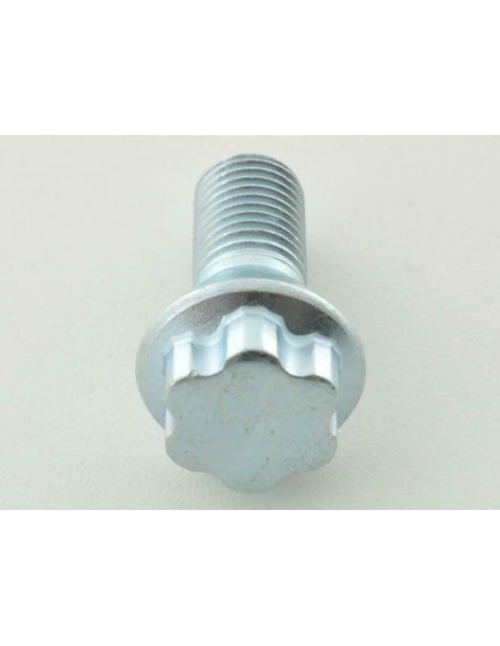 Set bulloni ruota (10 pezzi) Lunghezza albero 21 mm, collare conico, testa corta, argento M12x1,5