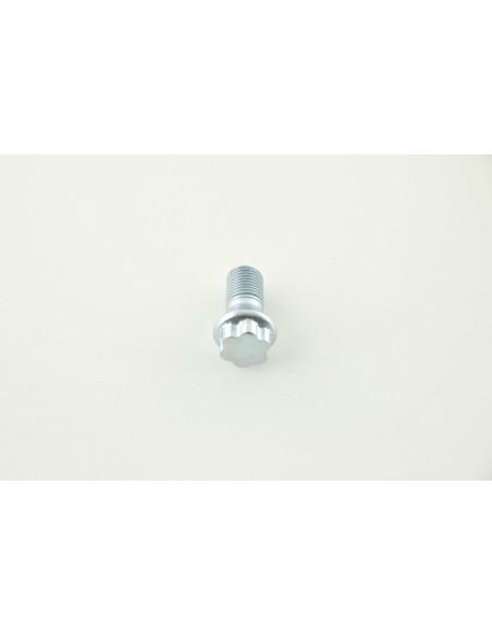 Set bulloni ruota (8 pz.) Lunghezza albero 21mm Collare conico argento M12x1,5