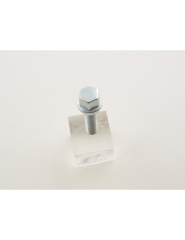 Set bulloni ruota (10 pz.) Lunghezza albero 45mm collare sferico argento M12x1,5