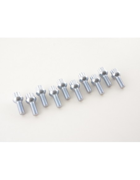 Set bulloni ruota (10 pz.) Lunghezza albero 29mm collare sferico argento M12x1,5