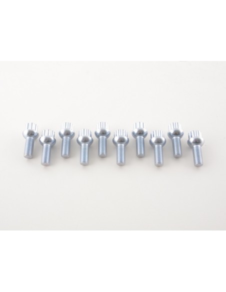 Set bulloni ruota (10 pz.) Lunghezza albero 29mm collare sferico argento M12x1,5