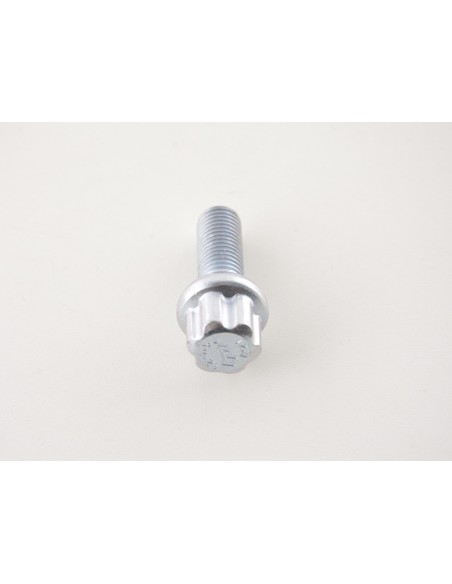 Set bulloni ruota (10 pz.) Lunghezza albero 29mm collare sferico argento M12x1,5