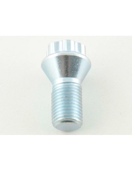 Set di bulloni per ruote (10 pezzi) lunghezza albero 21 mm, collare conico argento M14x1,5
