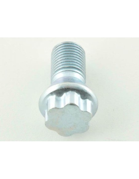 Set di bulloni per ruote (10 pezzi) lunghezza albero 21 mm, collare conico argento M14x1,5