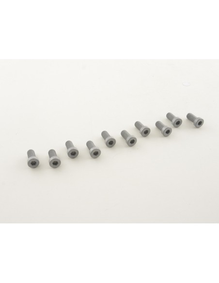 Set di viti a brugola (10 pezzi), testata M12 x 1,5 25