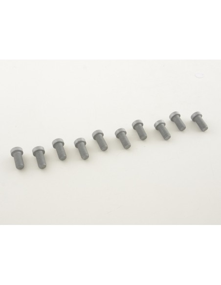 Set di viti a brugola (10 pezzi), testata M12 x 1,5 25