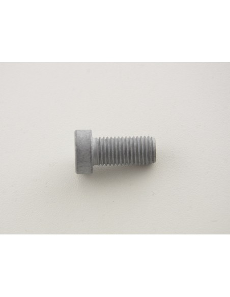 Set di viti a brugola (10 pezzi), testata M12 x 1,5 25
