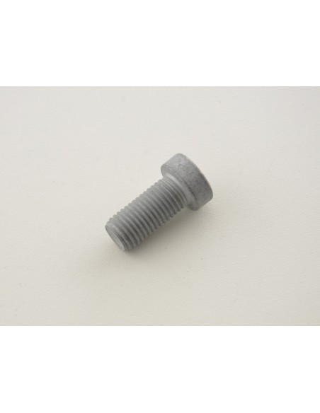 Set di viti a brugola (10 pezzi), testata M12 x 1,5 25