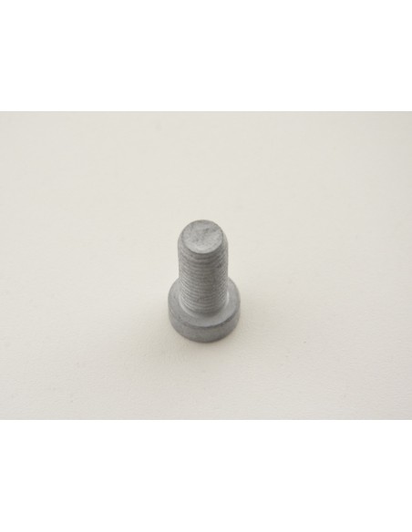 Set di viti a brugola (10 pezzi), testata M12 x 1,5 25