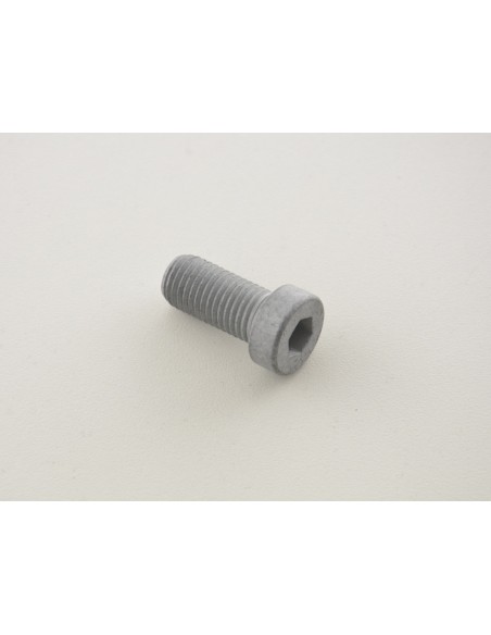 Set di viti a brugola (10 pezzi), testata M12 x 1,5 25