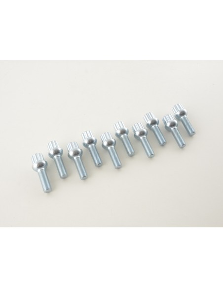 Set bulloni ruota (10 pz.) Lunghezza albero 35mm collare sferico argento M12x1,5