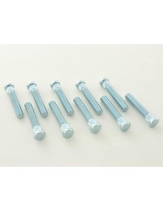 Set prigionieri per veicoli Ford (10 pezzi), lunghezza 40 mm 2