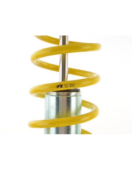 Kit coilover FK per Honda Civic tipo EG2, EG3, EG4, EG5, EG9, EH6, EJ2, EJ6, EJ8, EJ9, EK3, EK4 anno di costruzione 91-00