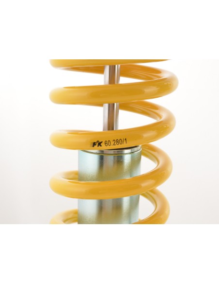 Kit coilover FK per Honda Civic tipo EG2, EG3, EG4, EG5, EG9, EH6, EJ2, EJ6, EJ8, EJ9, EK3, EK4 anno di costruzione 91-00