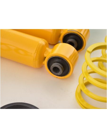 FK coilover kit ricambi asse posteriore (solo 1 lato) Ford Mustang Coupe tipo S197 2005-2014
