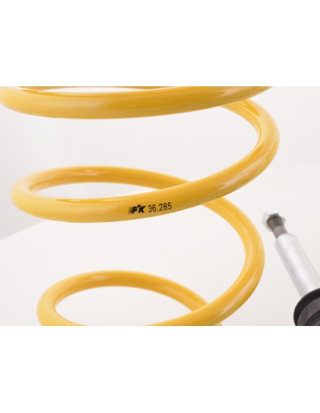 Kit coilover FK sospensioni sportive Honda Civic tipo EM2, EP1, EP2, EP3, EP4, EU5, EU6, EU7, EU8, EU9 / ES4, ES5, ES6, ES7, ES8