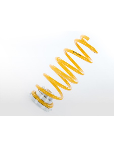 Kit coilover FK sospensioni sportive VW Beetle 5C del 2011 con montante da 55 mm, assale posteriore con fascio di torsione