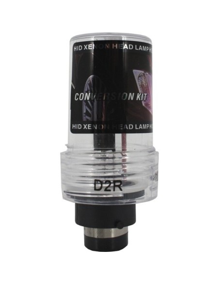Lampadine allo xeno D2R 10000K