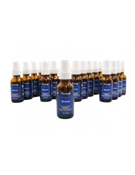 Paradise Atomizzatore Profumo per Ambienti, 25 ml, Profumo di Bambù, Confezione da 25 unità