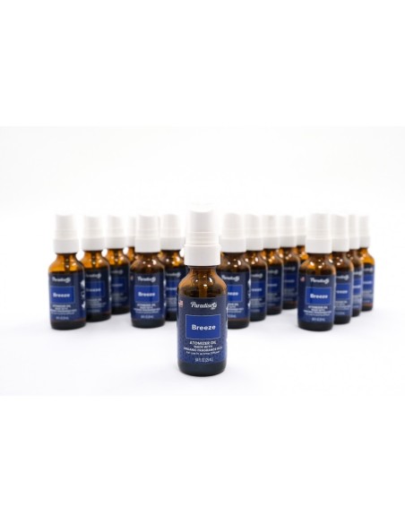 Paradise Atomizzatore Profumo per Ambienti, 25 ml, Profumo di Bambù, Confezione da 25 unità