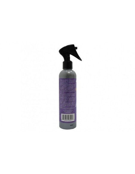 Paradise Spray Deodorante per Aria, Eliminazione Odori, Profumo di Nero