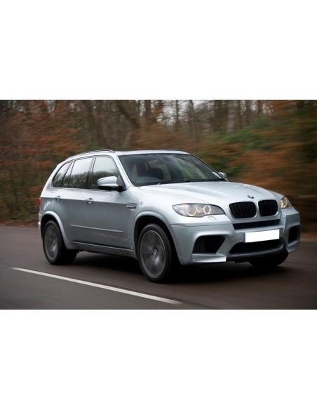 Griglie per reni per BMW X5-X6 E70-E71 07-13