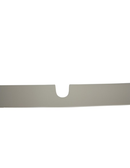 Spoiler sul tetto per MERCEDES W219 CLS Pre Facelift (04-08)